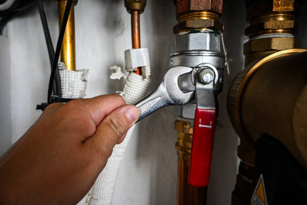 Best Same-Day Plumbing Service  in Corralitos, CA